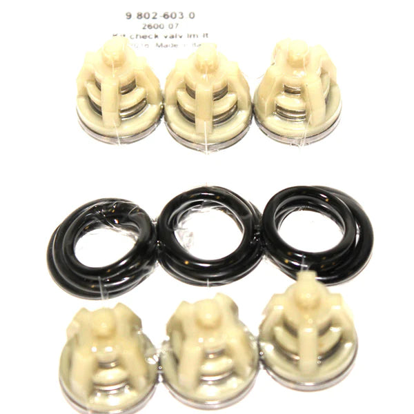Complete Pump Check Valve (6) - 9.802-603.0