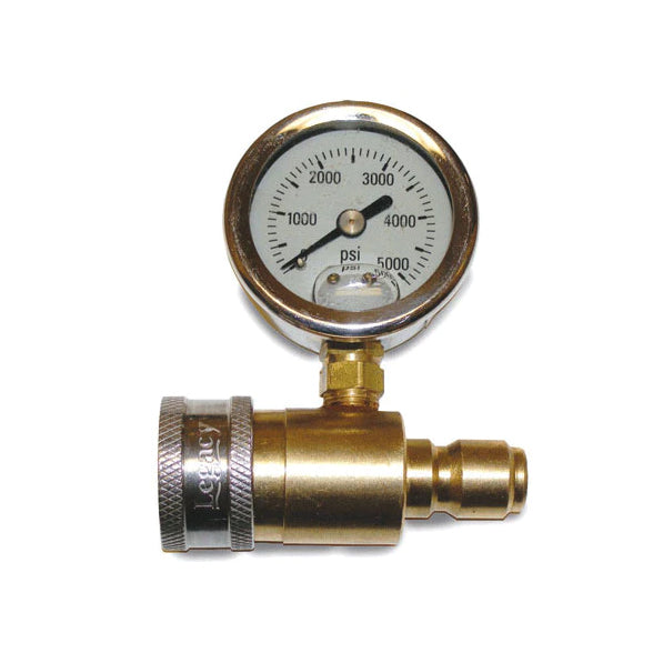 QUICK CONNET PRESSURE TEST SYSTEM WITH 5000PSI GAUGE