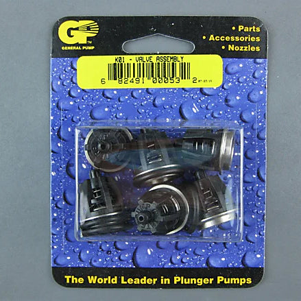 GENERAL PUMP KIT01 (K01) CHECK VALVE ASSEMBLY REPAIR KIT